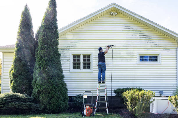 Best Sidewalk and Walkway Pressure Cleaning in Jarrell, TX